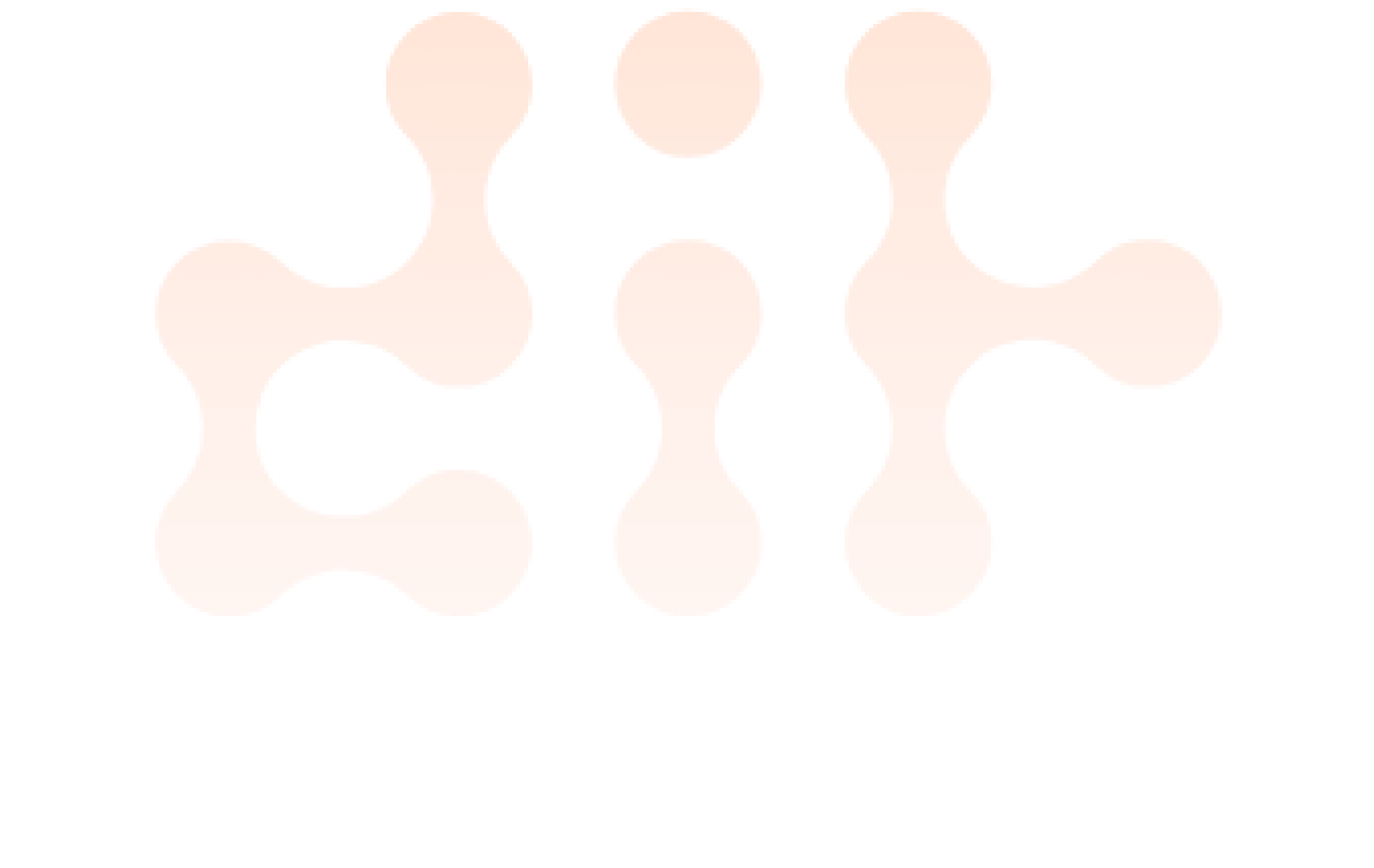 Dansk IT